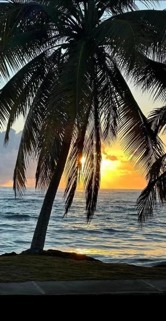 Condo Studio, Playa Azul 1005-1 Luquillo 0*,